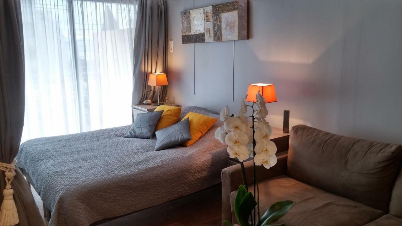 קאן Sophies Homes Felibriges Beach & Palais Des Festivals מראה חיצוני תמונה